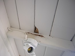 how to repair termite damage
